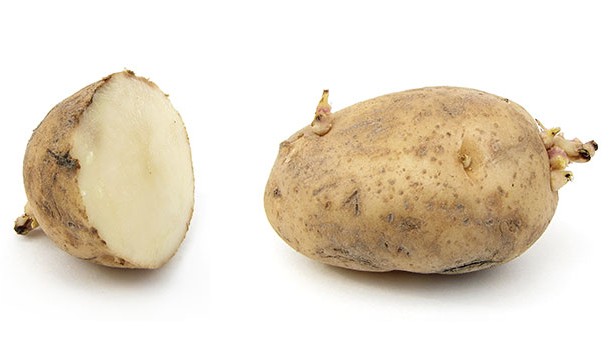 To prevent your windows from fogging up, cut a potato in half, rub down the inside of your windows, and then leave them to dry