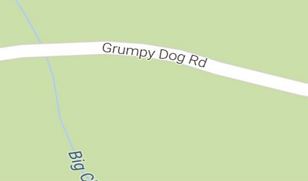 Grumpy Dog Road, Montana