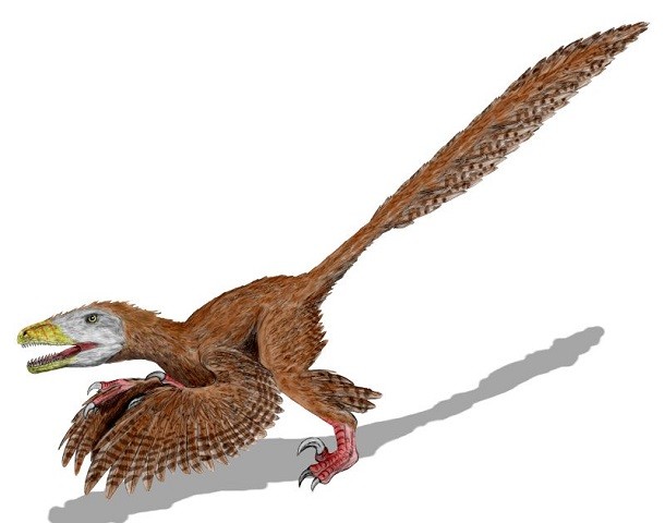 Deinonychus - feathered dinosaur