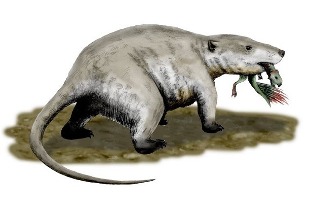Repenomamus eating small dinosaur