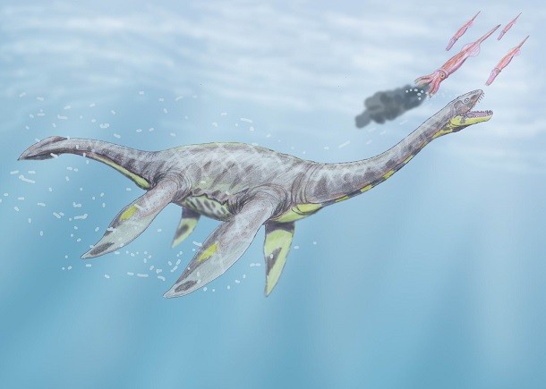 Seeleysaurus