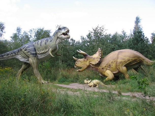 Triceratops-vs-T-Rex