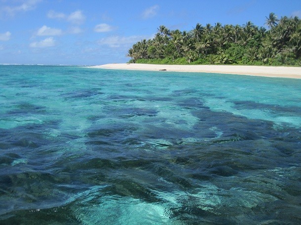 solomon islands reef