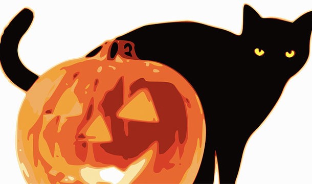 Oftentimes shelters won't let black cats be adopted around Halloween out of a fear that they may be sacrificed