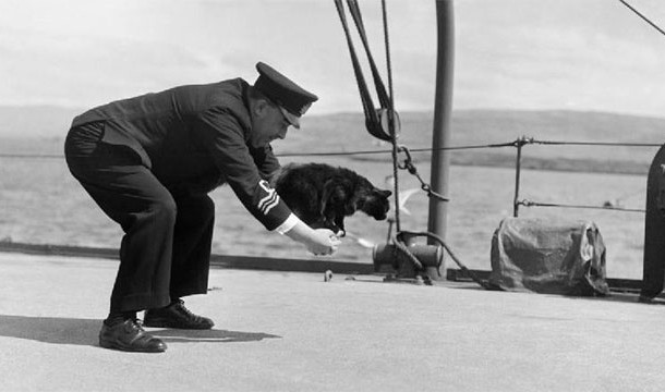 Unsinkable Sam was a cat that served on various ships during WWII. Three of those ships sank and he survived each time