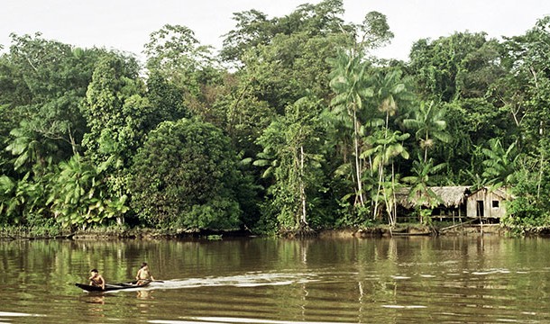 Although numerous expeditions in the past tried to find the lost ancient cities of the Amazon that were rumored to be covered in gold, scientists eventually started doubting that civilization could prosper in such harsh conditions and on such infertile soil.
