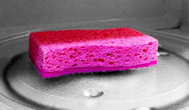 Sanitizing sponge
