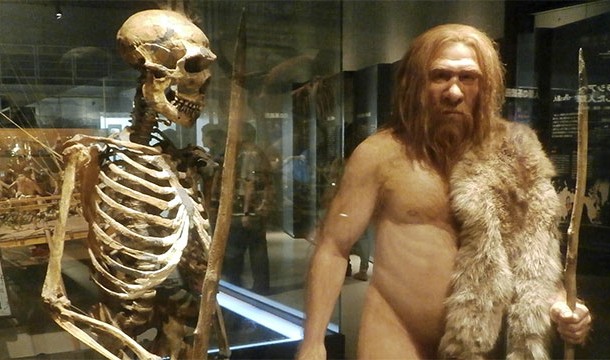 People of non-African descent all have traces of neanderthal DNA