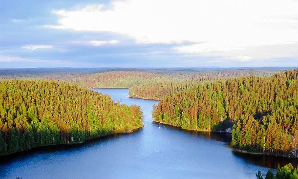 repovesi national park in Finland