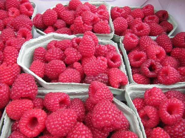 swedish berries