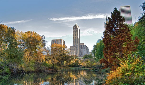 Opened in 1858, Central Park was the first landscaped park in any American city