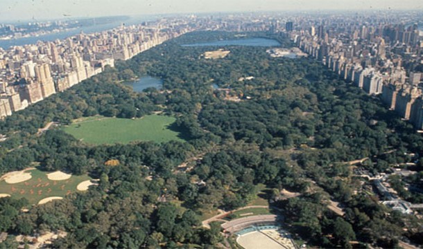 The construction of Central Park in the 1850s was one of the largest public works projects of that time period