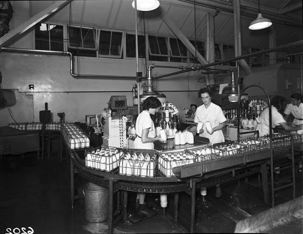 Queensland_State_Archives_1824_Milk_pasteurising_equipment_Peters_and_Pauls_factories_Brisbane_December_1953