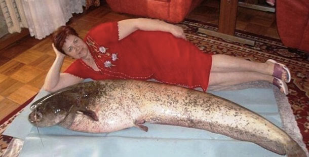A person lying on a bed next to a large fish