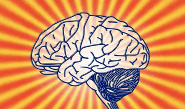 Your left brain controls creativity and your right brain controls logic