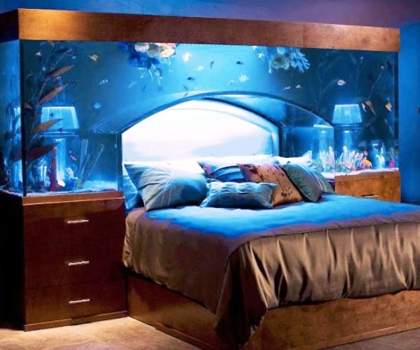 Fish tank bed