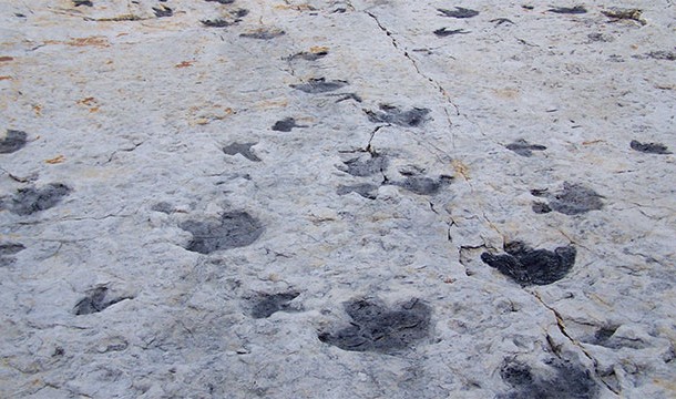 Dinosaur "highways" where dinosaurs migrated can still be seen today