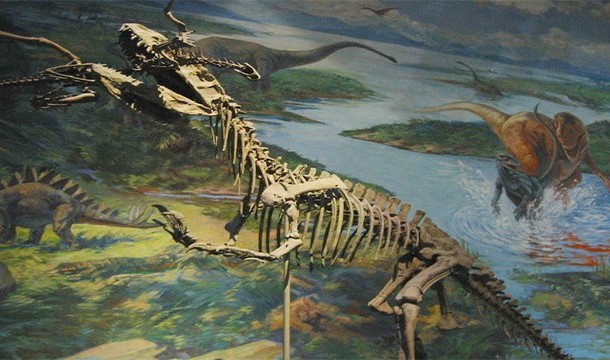 Nobody knows how long dinosaurs lived. According to scientists, some species may have lived for up to 200 years!
