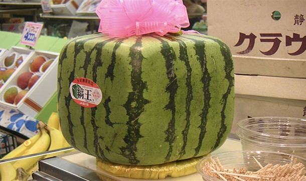 Farmers in Japan grow square watermelons so that they are easier to store