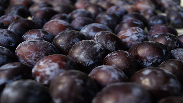 If prunes are dried plums, where does prune juice come from?