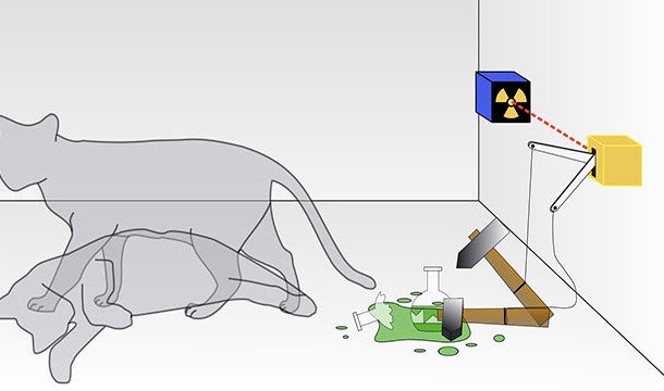 Schrödinger’s cat walks into a bar and doesn’t