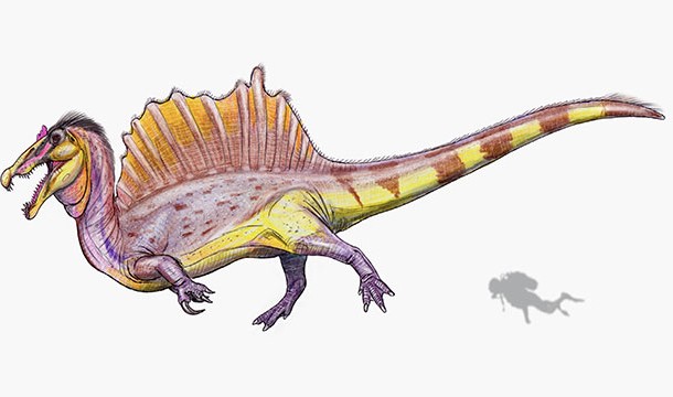 Scientists are not sure what color skin dinosaurs had (some may have been very colorful). Most likely, however, the dinosaurs were green or brown to help them camouflage better