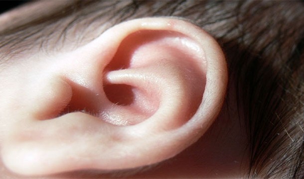 There are antimicrobial properties in earwax that prevent fungus and bacteria from settling down in your ears