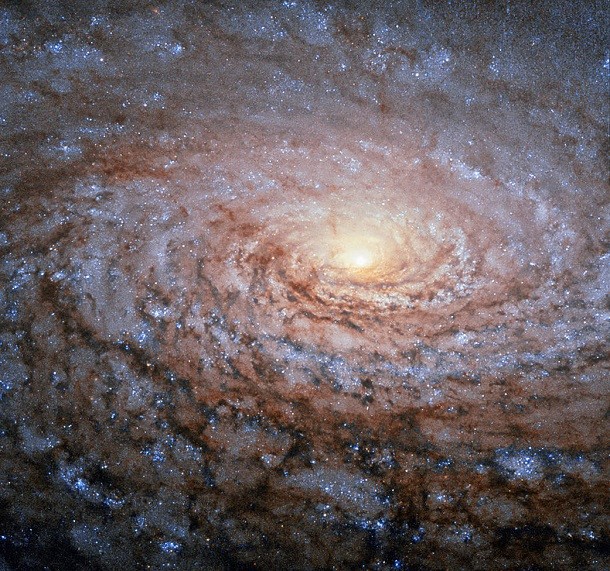 Messier-63 A galactic sunflower