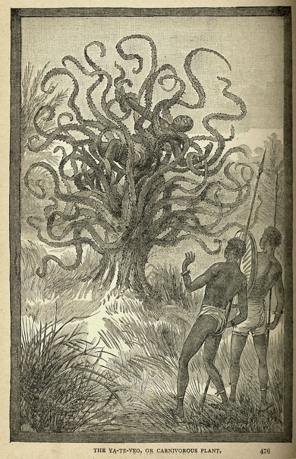 The Man-Eating Tree of Madagascar