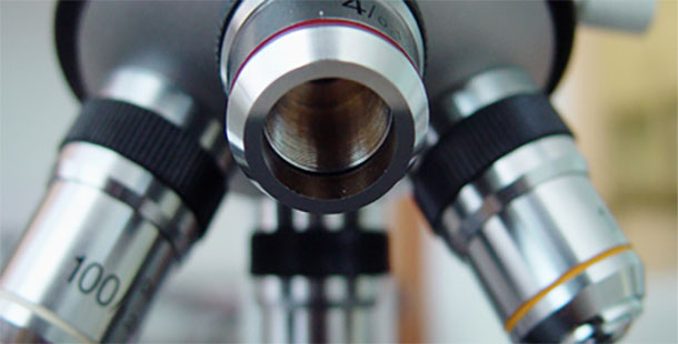 Close-up of a microscope