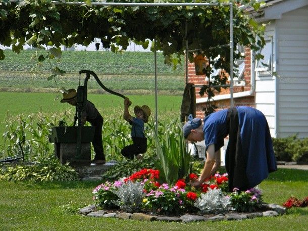amish family in the garden