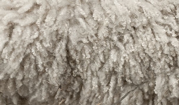 Wear wool instead of cotton. Cotton takes too long to dry.