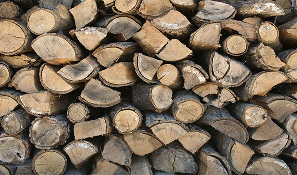 Collect all the wood you think you'll need for the night in a pile. Then make the pile 3 times bigger.