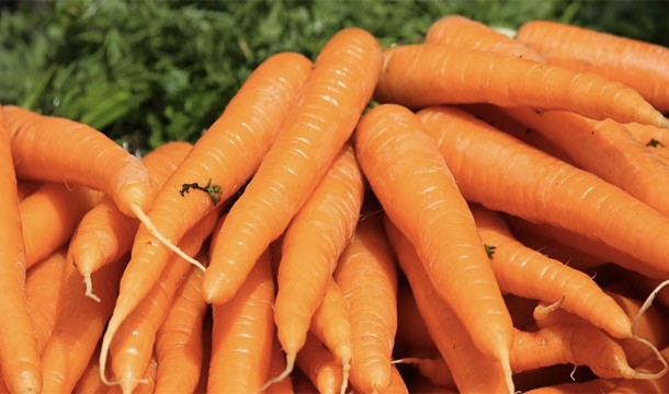 Carrots don't actually improve your eyesight (at least not any more than any other vegetable). This was a lie propagated by the British during World War II because they didn't want the Germans to find out that British pilots were using radar. Instead, they released a public announcement claiming that the reason for their pilot's incredible accuracy was the high number of carrots that they consumed. It was silly, but people believed it.