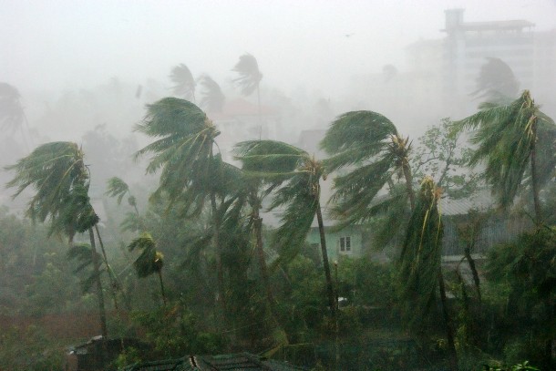 Tropical cyclone