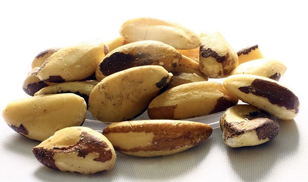Bolivia is the main exporter of Brazil nuts.