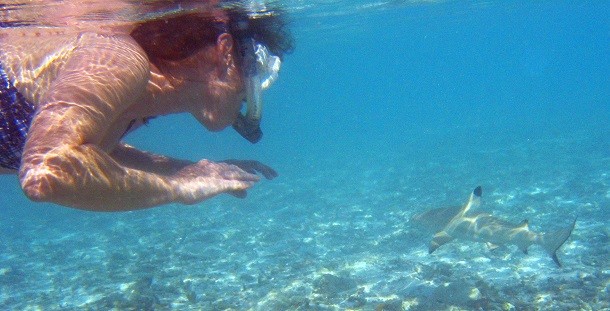 Snorkeler_with_blacktip_reef_shark