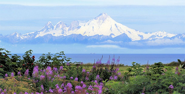 25 ways that alaska is the most interesting and craziest state
