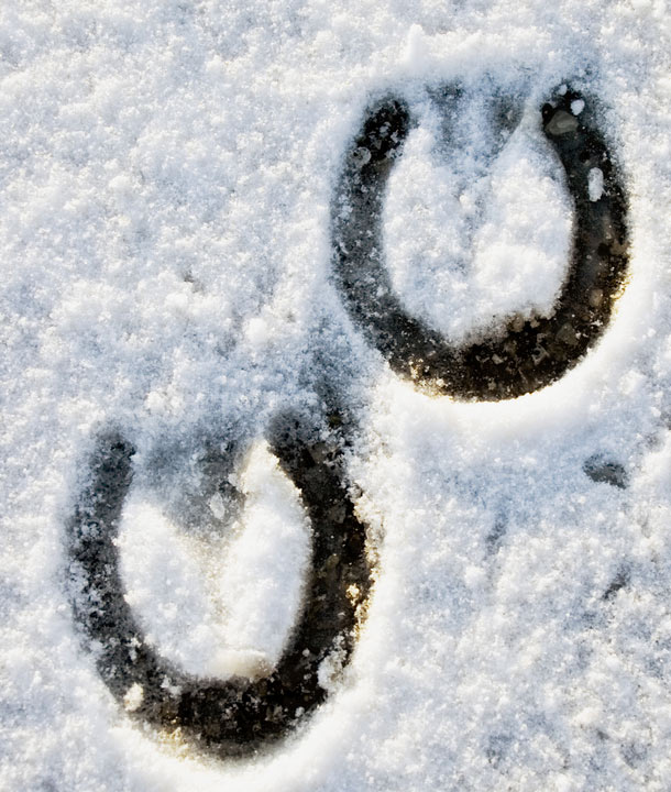 hoof print in the snow