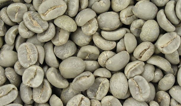 During the 1980s, scientists showed that an enzyme in green coffee beans could turn any blood type into type O, the universal donor.