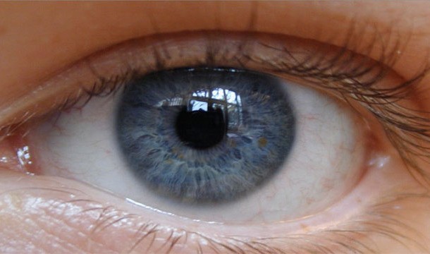 Blue eyed people share a common ancestor who lived about 10,000 years ago around the Black Sea