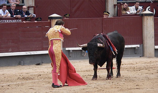The matador's cape doesn't need to be red because the bull is color blind. It is said that the cape is red in order to hide the blood splatter from the audience (when the bull is finally killed)
