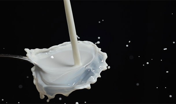 There is a type of plastic called galalith that can be made from milk. It is biodegradable, odorless, and nonflammable. Unfortunately it can't be molded once it is set.