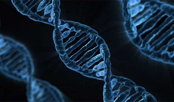 We still don't know the function of more than 80% of our DNA