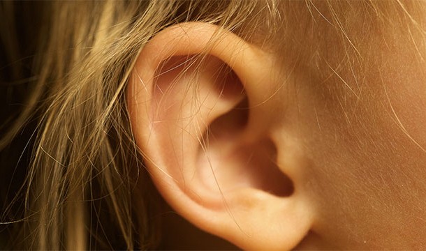 If we were capable of hearing frequencies lower than 20 Hz, we could hear the movement of our muscles