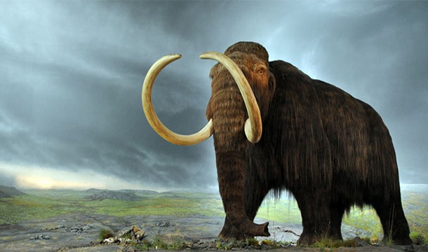 When they were building the Great Pyramids, there were still wooly mammoths roaming the Earth