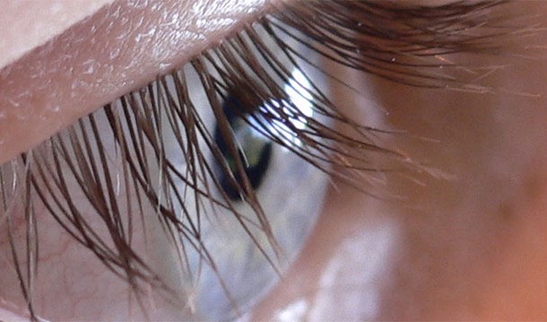 Perhaps unexpectedly, males have longer eyelashes on average.