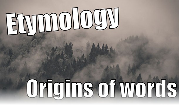 What's the difference between an entomologist and an etymologist?