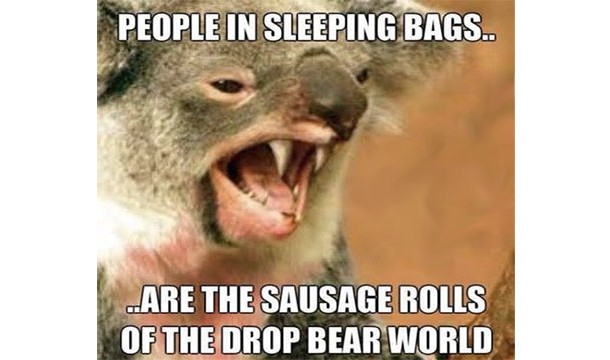 Drop Bears