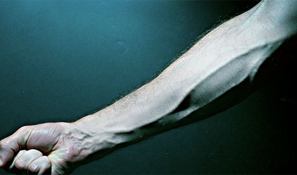 Veins in males tend to be larger